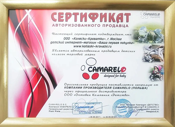 Детская коляска Camarelo Sevilla 3 в 1 фото 4