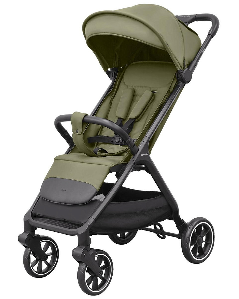 Детская прогулочная коляска Carrello Forza CRL-5535 - Фото